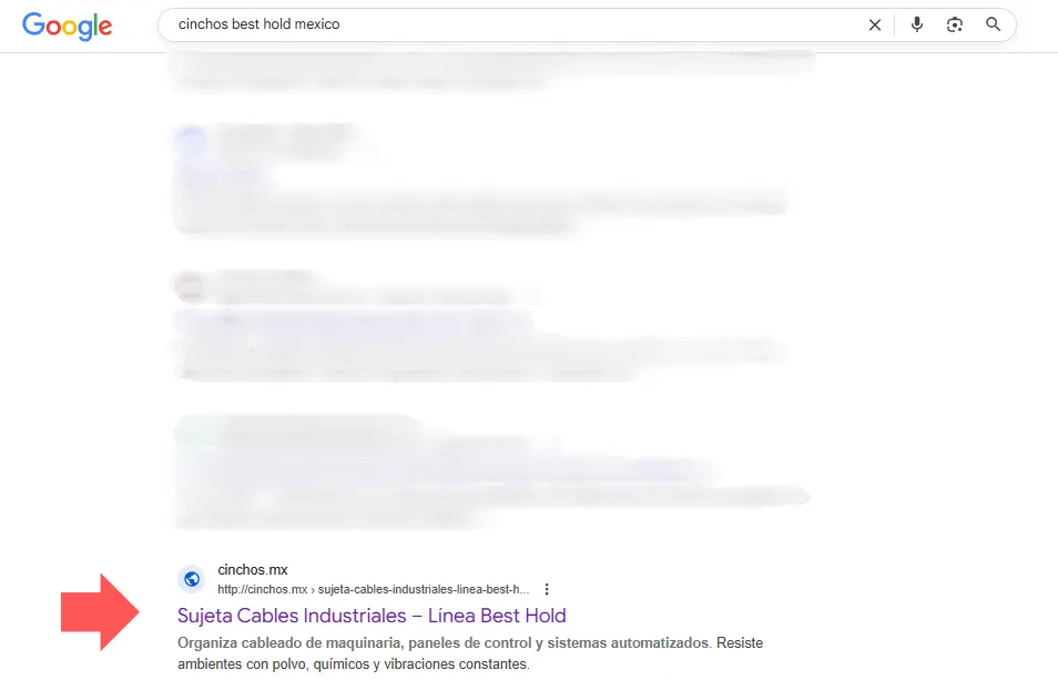 Pantalla de Google que muestra resultado de búsqueda de “cinchos best hold mexico”